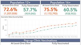 Vaccination Statistics Dashboards